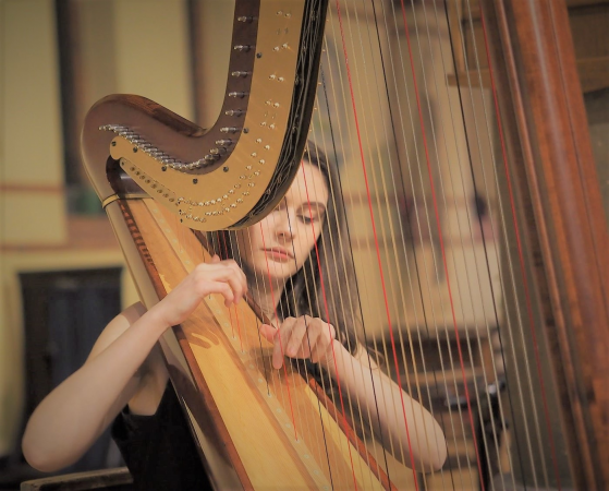 Aoife Miralles, Harpist - Photo 3