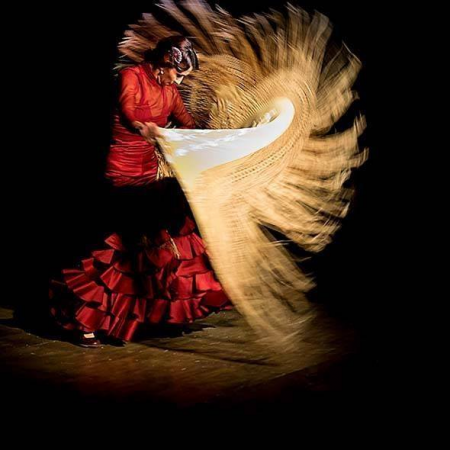 Jesus Olmedo -  Flamenco Show - Photo 9