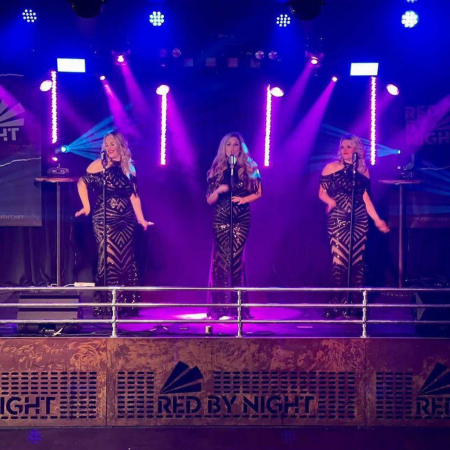 Baby Love Motown Tribute  - Photo 16