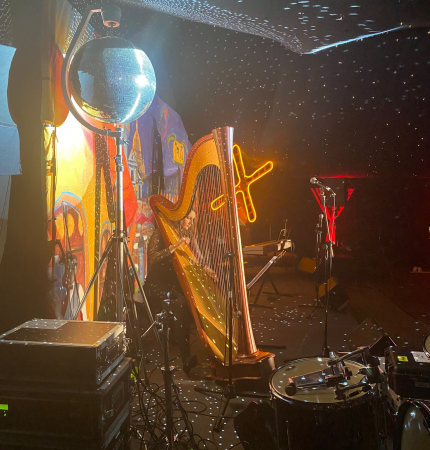 Aoife Miralles, Harpist - Photo 6