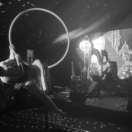 Aoife Miralles, Harpist - Photo 8