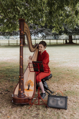 Scarlett Smith | Bristol Harpist - Photo 2