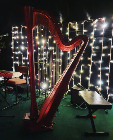 Aoife Miralles, Harpist - Photo 10