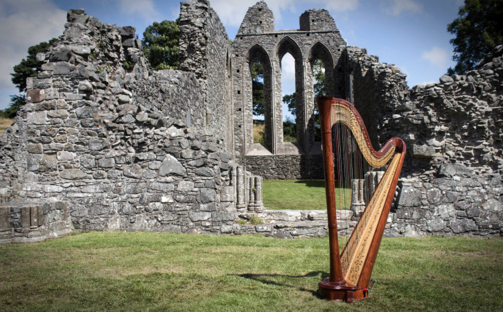 Aisleagh.  Concert Harpist - Photo 8