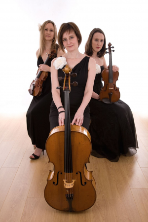 Bowfiddle Strings - Photo 3