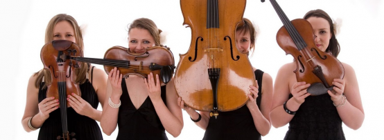 Bowfiddle Strings