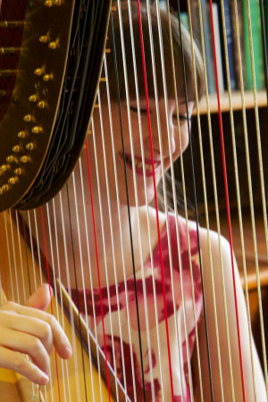 Harpist Heather Wrighton - Photo 3