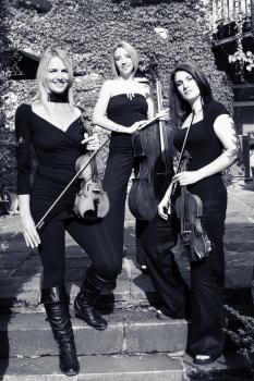 Simply Strings Trio - Photo 2