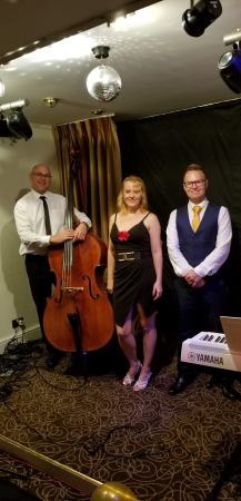 Pink Champagne Duo / Trio / Quartet  - Photo 16