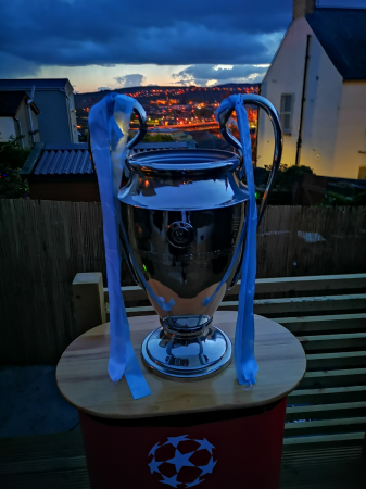 Replica Trophy Cabinet - Photo 4