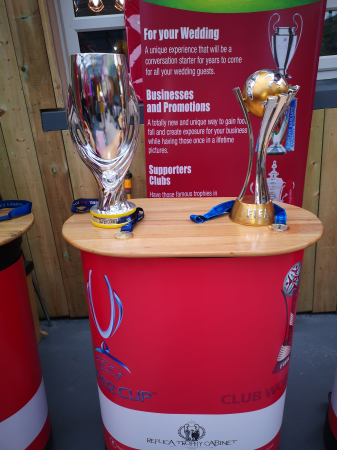 Replica Trophy Cabinet - Photo 8