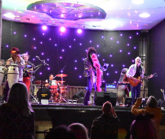Telegram Sam - T.Rex Tribute - Photo 8
