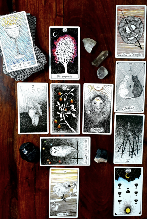 Mercury Tarot - Photo 4